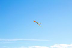 Kite