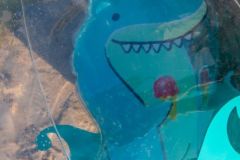 Beach ball with a toy shark in it