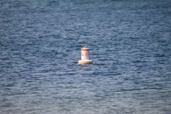 Lone buoy floating in the water