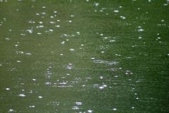 Close up of rain falling on water