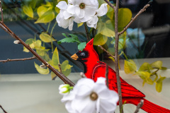 Wooden Cardinal