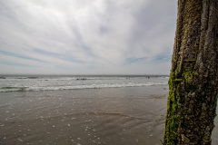 Looking into the ocean from under the boardwalk (Old Orchard Beach, ME)