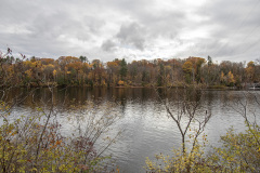 Looking through the branches out into the water (Glens Falls, NY)