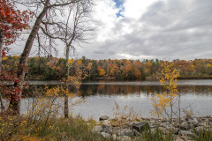 Fall foliage at Haviland's Cove Beach (Glens Falls, NY)