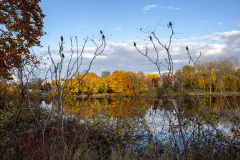 Autumn (Glens Falls, NY)
