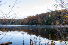 Light fog on still water at Haviland's Cove (Glens Falls, NY)