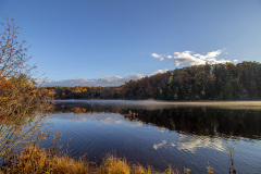 Mix of colored trees at Haviland's Cove (Glens Falls, NY)