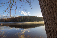 Sun setting behind a tree on still water with a light fog at Haviland's Cove (Glens Falls, NY)