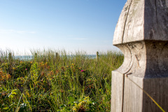 Peaceful grassy scene along the coastline (Old Orchard Beach, ME)