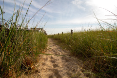 Sandy path in the grass (Old Orchard Beach, ME)