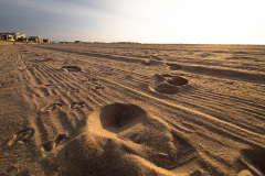 Footprints in the sand (Hampton Beach, NH)