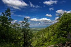 Looking through the trees from Indian Ladder Trail (Thacher State Park)
