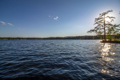 Sun setting behind a tree on peaceful waters (Glen Lake - Queensbury, NY)