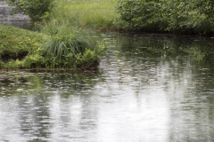 Light rain on a pond (Glens Falls, NY)