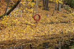Tire swing reflection