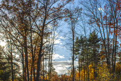 Autumn scene with bright blue sky