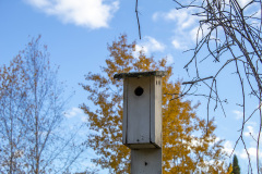 Birdhouse