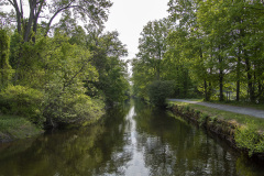Looking up the canal