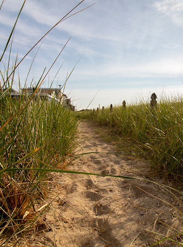 card 1 landscape card 1 landscape